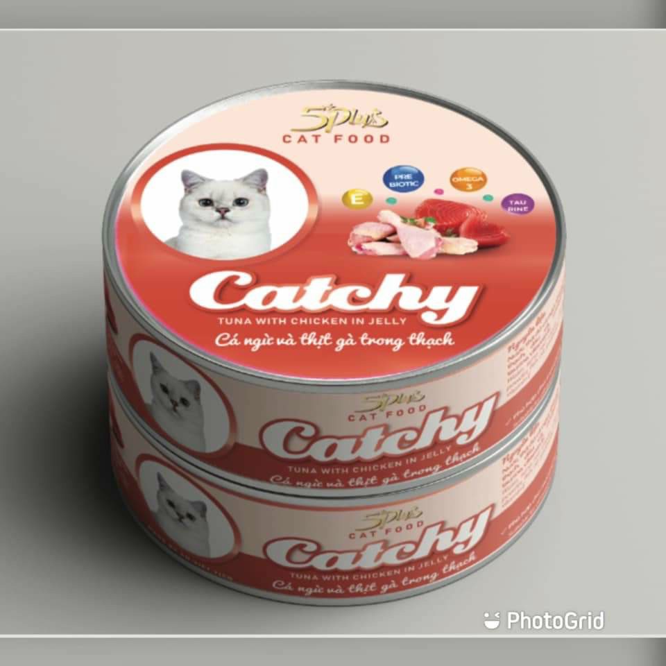 Pate mèo Catchy 5Plus dạng lon 170gram - CThanhpetshop
