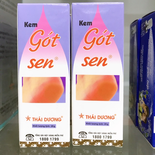 [HCM]Gót sen Thái Dương