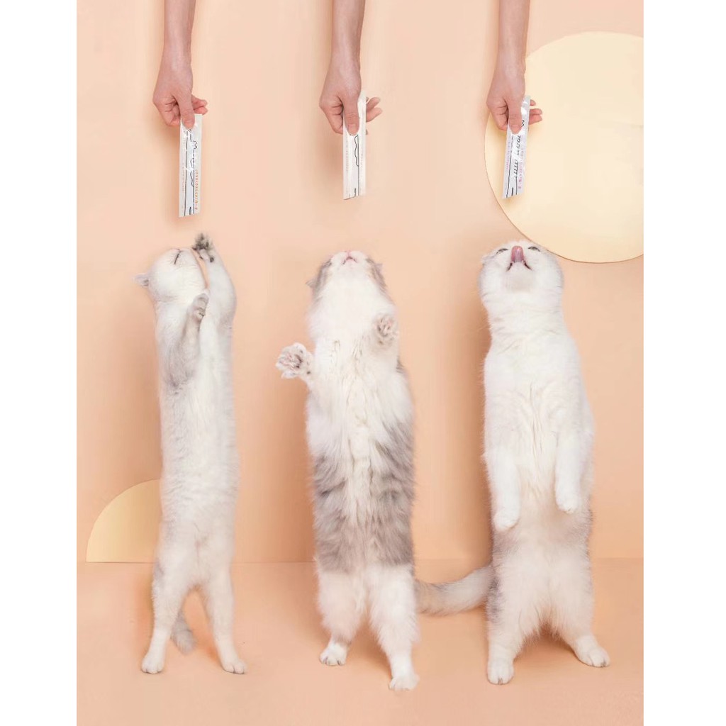 SÚP THƯỞNG CHO MÈO FURRYTAIL 6 THANH 12G