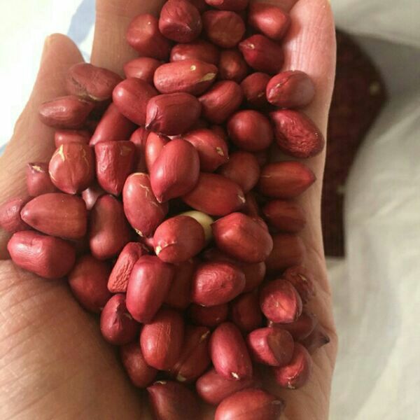 500g lạc đỏ