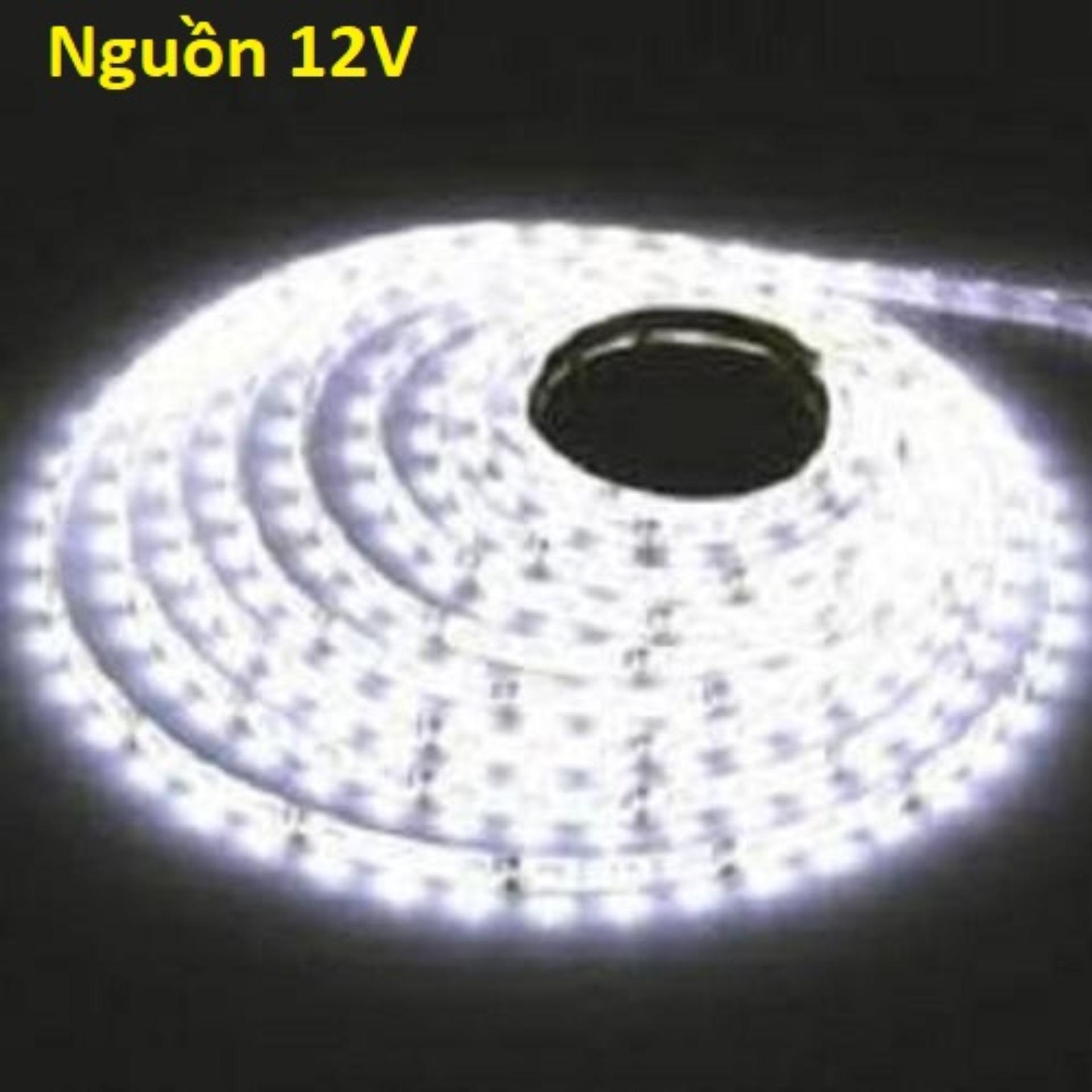 [HCM]Cuộn Led dây dán 5m 5050 12v có keo