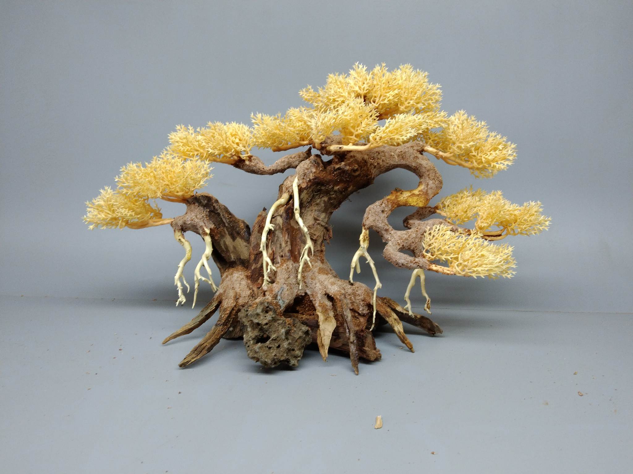Cây gỗ lũa bonsai tán Tùng 2 thân cho hồ cá cảnh (có 4 màu: Xanh, Đỏ, Cam, Kem)