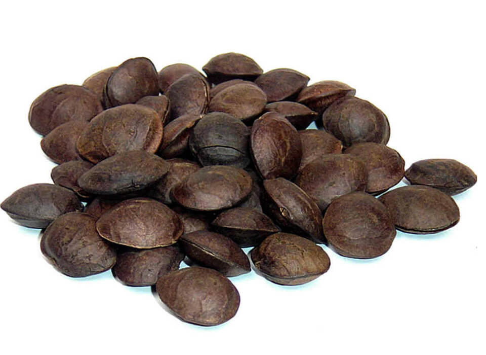 Nhân hạt Sachi đã rang chín ăn liền 500Gr