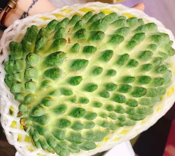 02 Cây giống Na Sầu Riêng