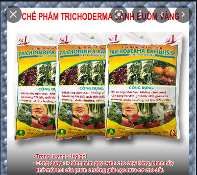 Chế phẩm Trichoderma bacilus- gói 1kg