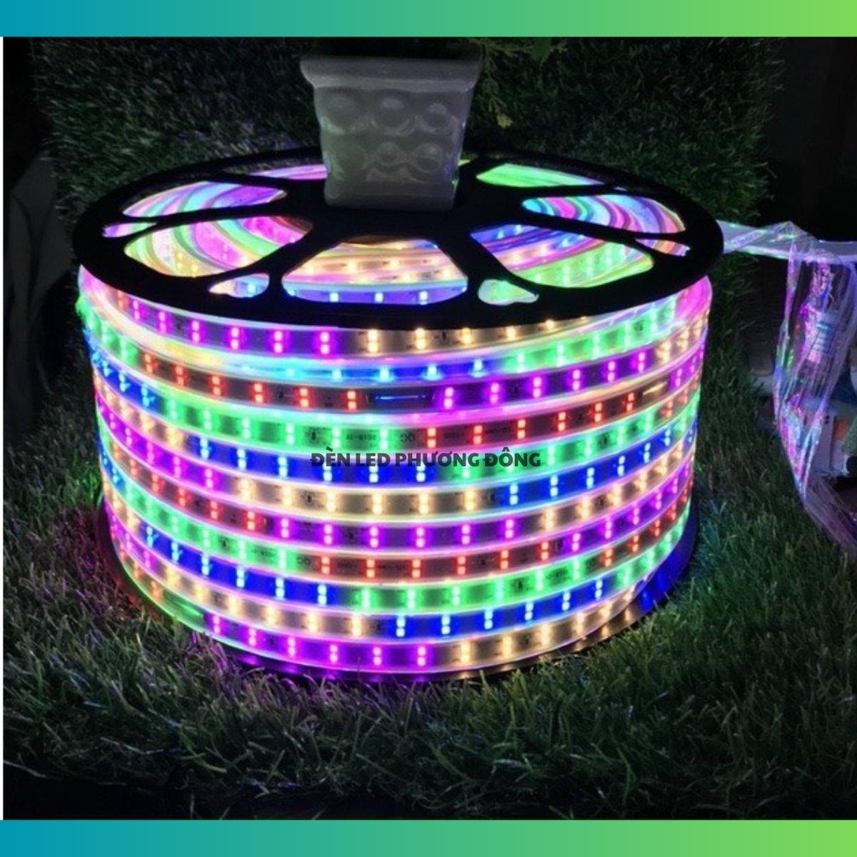 Cuộn 100m LED Dây đôi 2835 - 2 hàng bóng siêu sáng