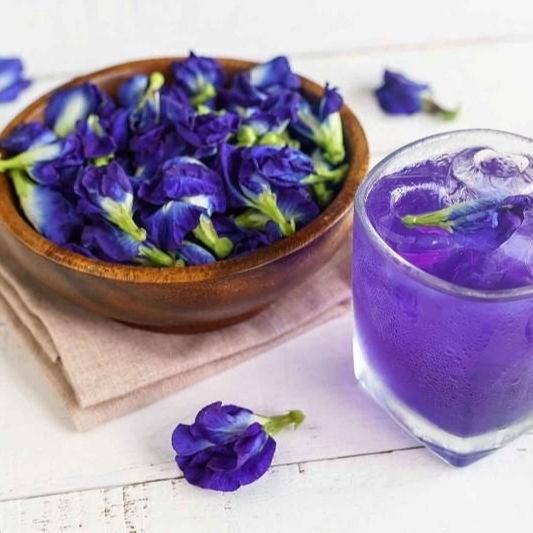 Hạt Giống Hoa Đậu Biếc Gói (2gr)
