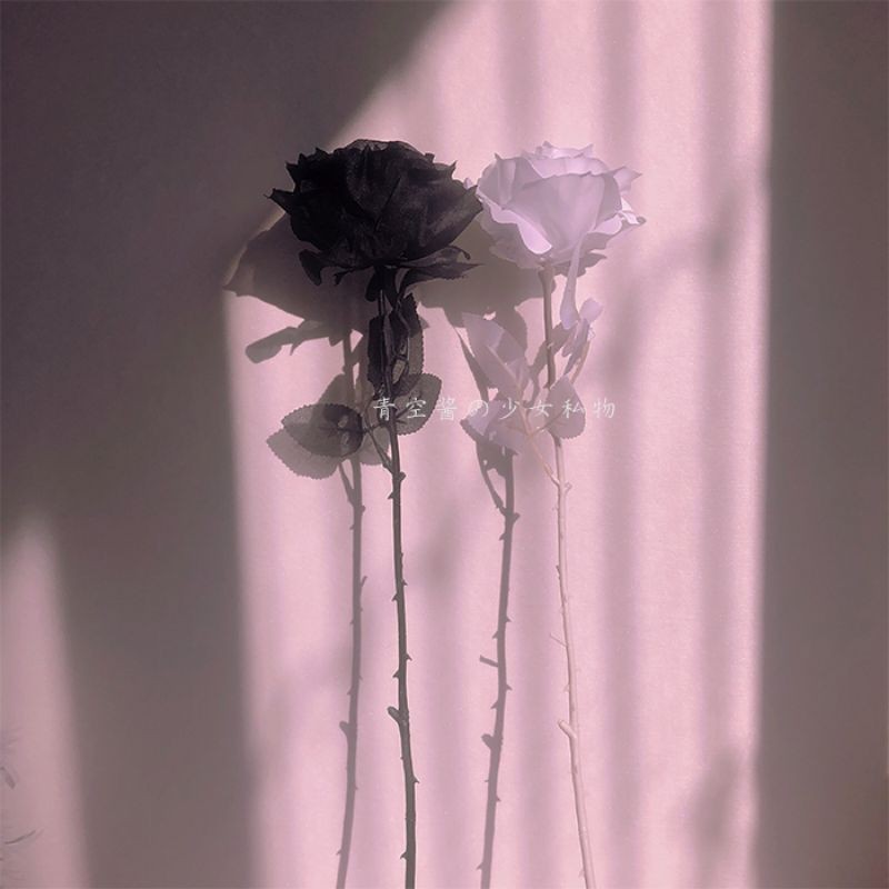 Hình ảnh hoa hồng đen trắng đầy mịn màng và độc đáo sẽ khiến cho trái tim bạn rung động. Với sắc đen quyến rũ kết hợp với trắng tinh khiết và trong sáng, các bông hoa này sẽ tạo nên một phong cách chẳng thể tuyệt vời hơn trong không gian của bạn.