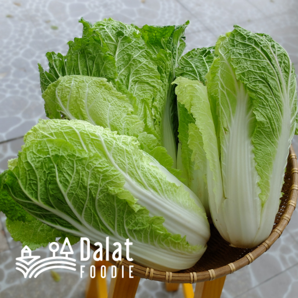 Cải Thảo 250G - [Giao hàng ngay tại TPHCM]