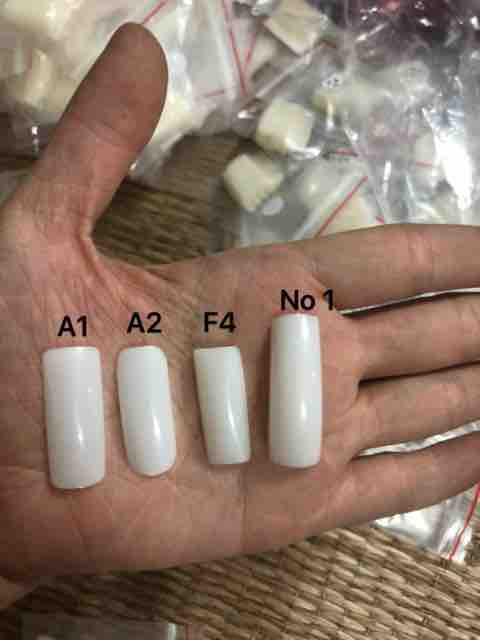 Móng giả tập A1,A2,No1,F4