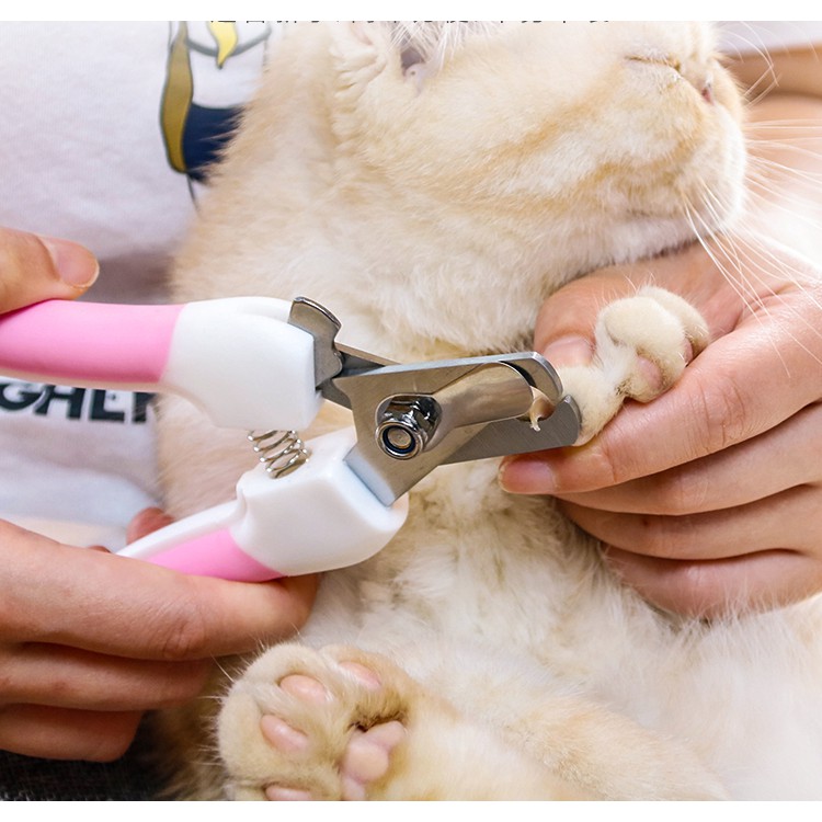✂️ KÌM BẤM MÓNG (KÈM DŨA) CHO CHÓ MÈO ✂️