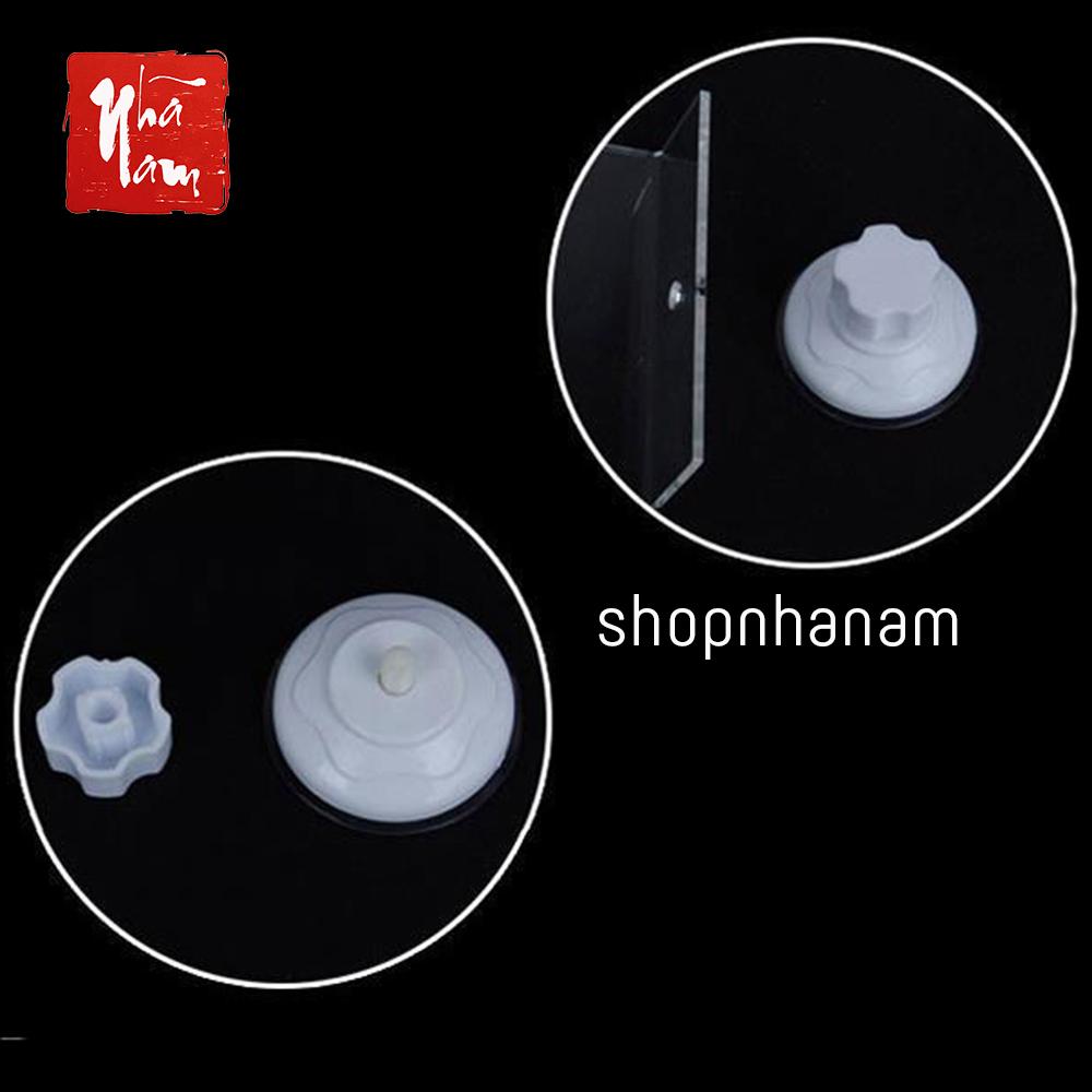 Bệ phơi nắng đế giác hút siêu chắc cho nuôi rùa