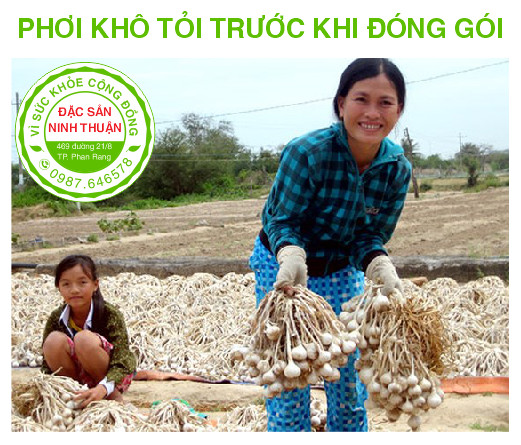 Tỏi Phan Rang 1kg (Đặc Sản Ninh Thuận)