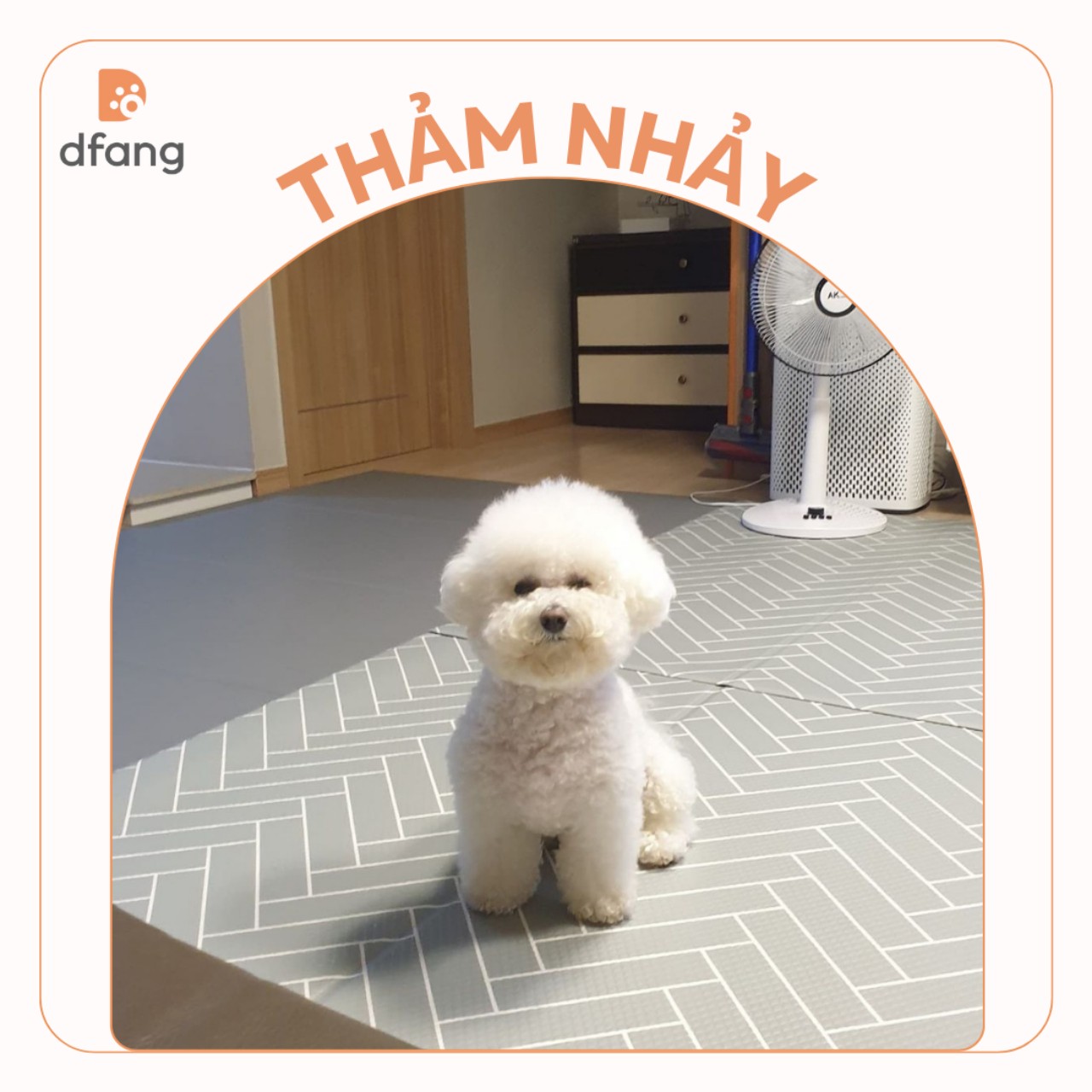 DFANG - Thảm nhảy chống trượt cho thú cưng (Chó mèo)