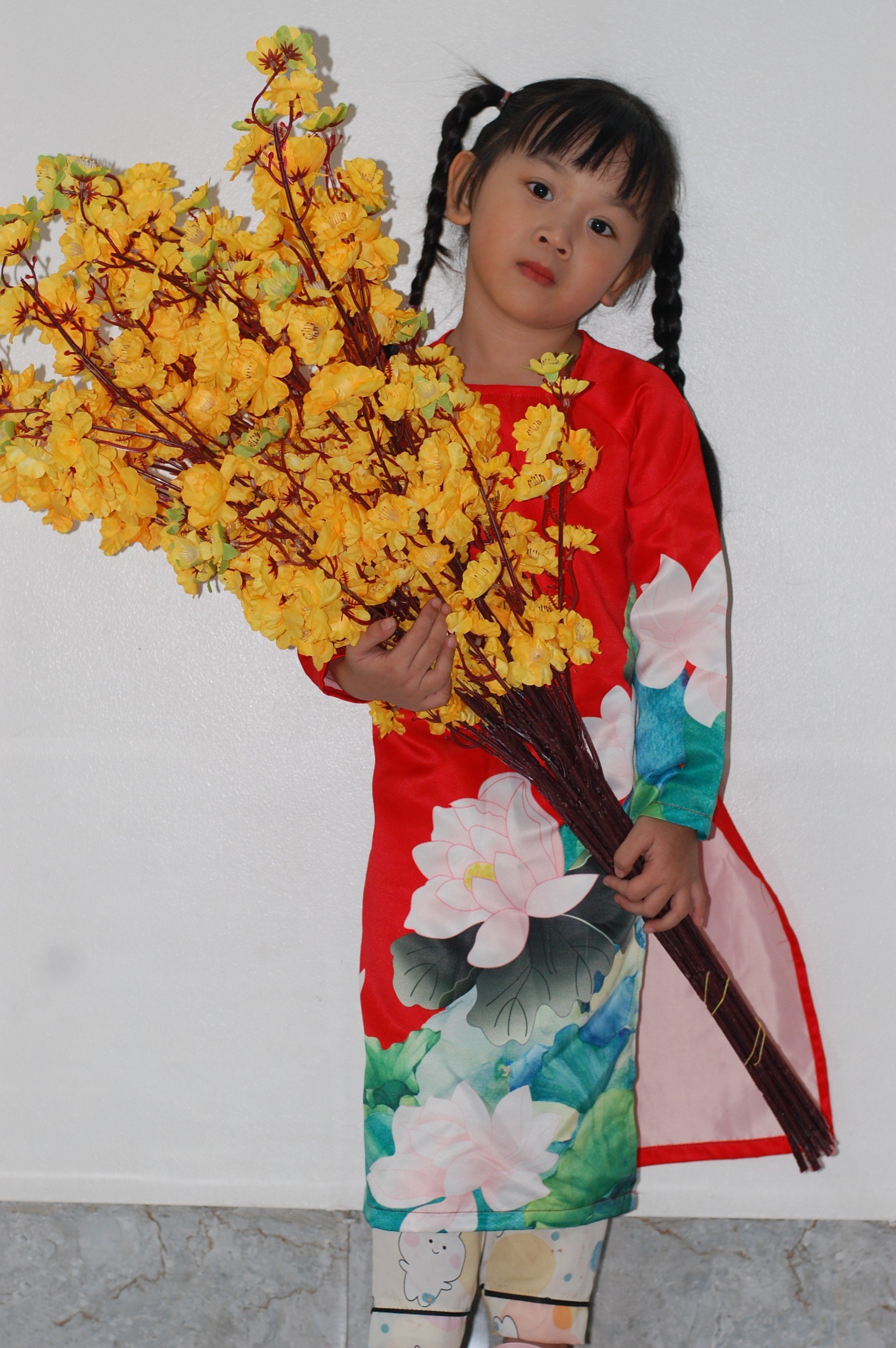 Sỉ hoa đào cành. mai cành, đào phai cành tràn trí ngày tết