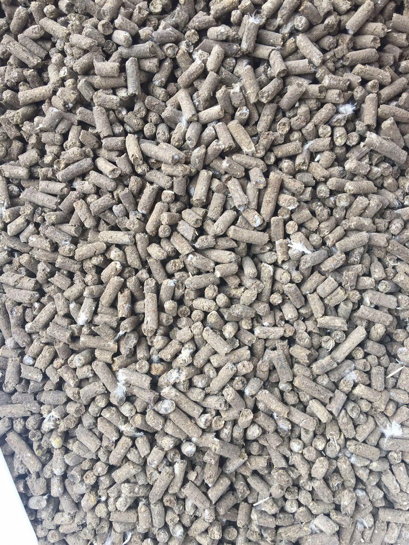 PHÂN GÀ HỮU CƠ NHẬT BẢN - TÚI 5KG GIÚP ĐẤT THÔNG THOÁNG