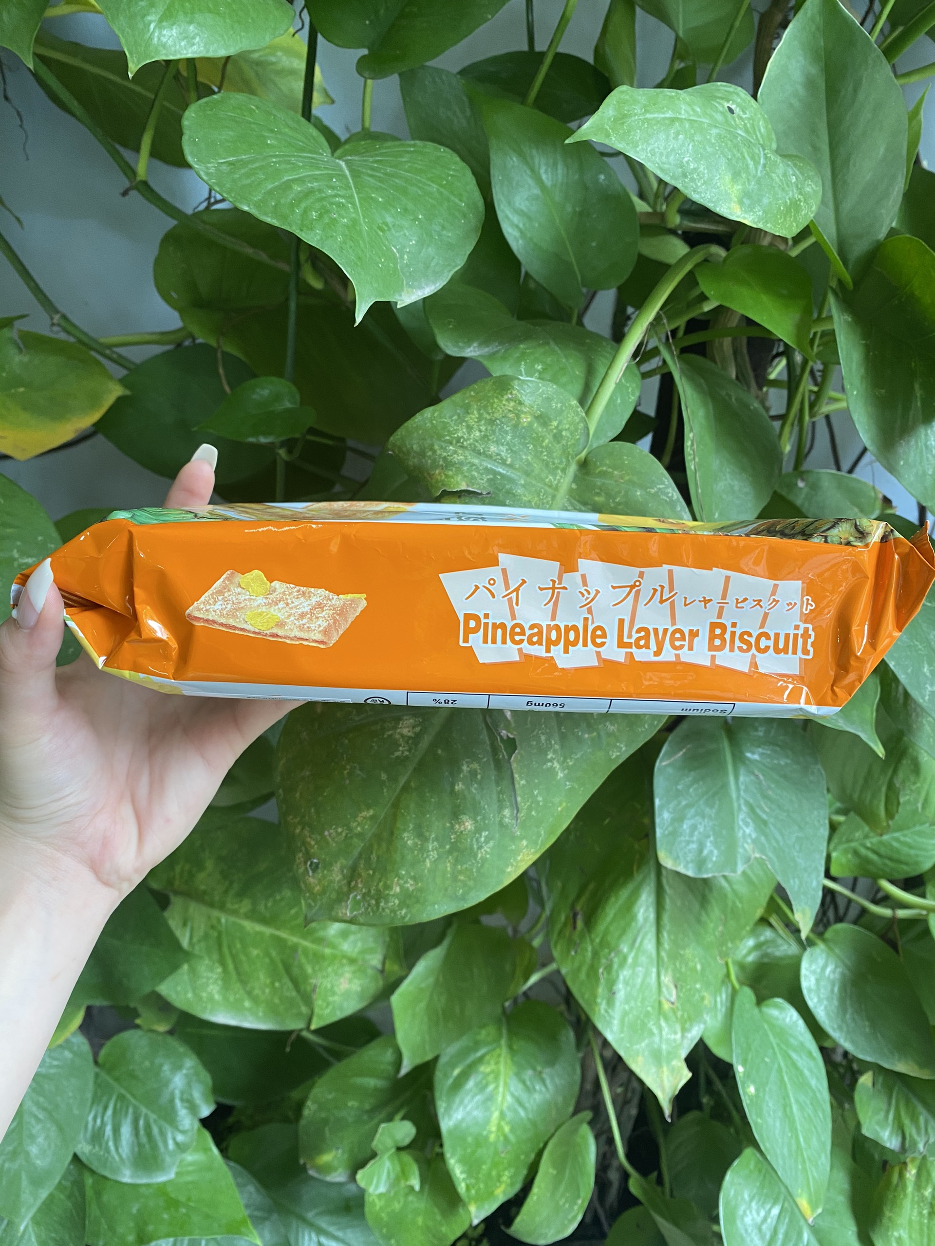 Bánh Quy Nhật Vị Thơm Pineapple Layer Biscuit (Gói 140g)