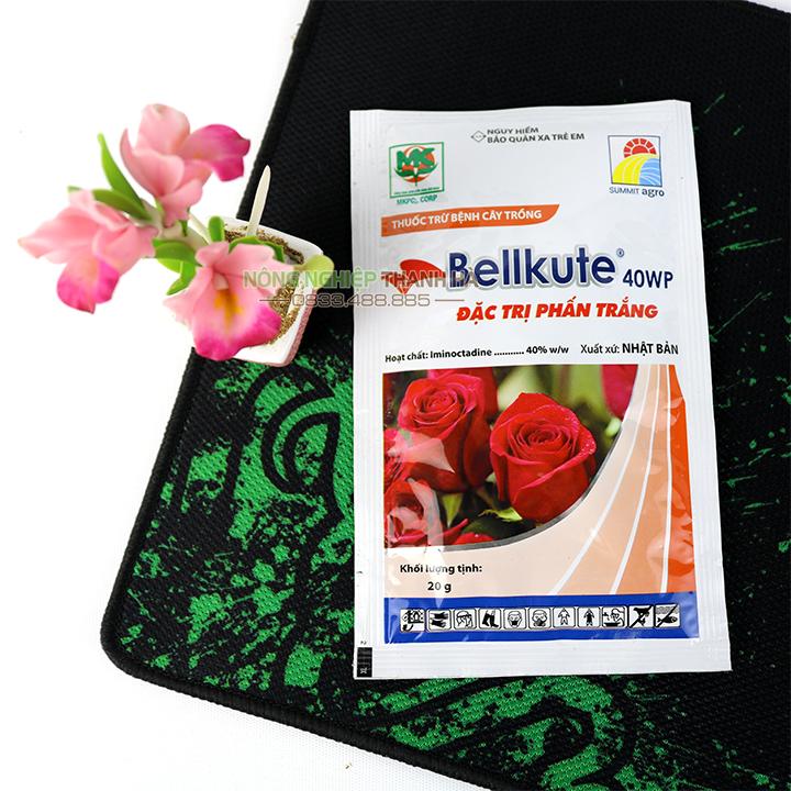 Trừ phấn trắng trên hoa hồng Bellkute 20g