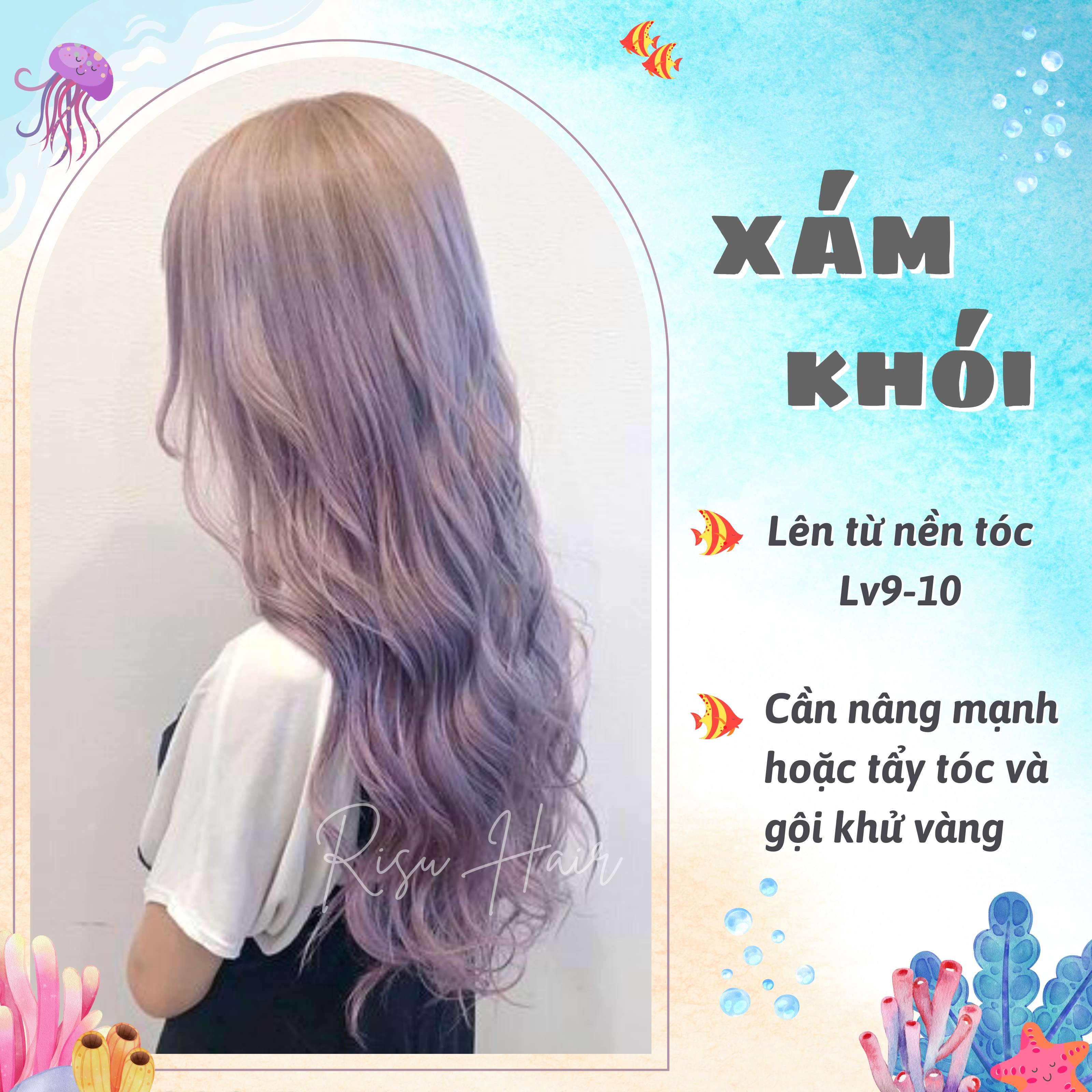 Thuốc Nhuộm Tóc Màu Xám Khói - Risu Hair.