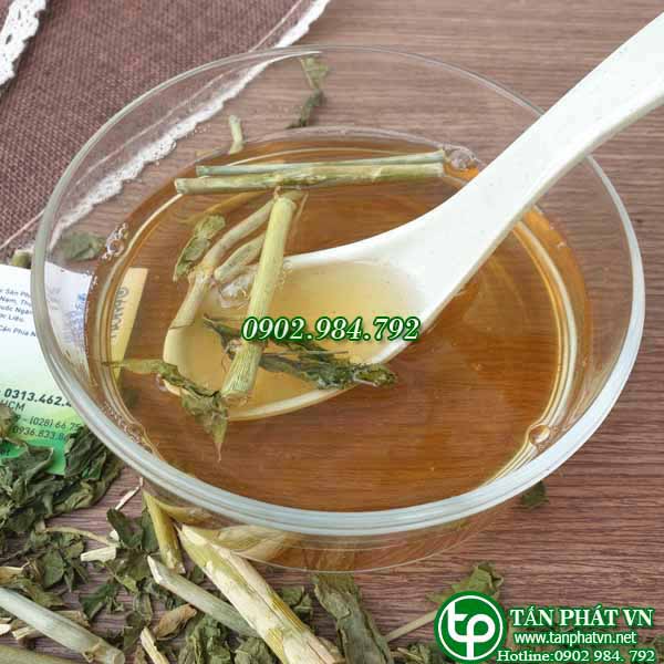 [Túi 1kg giá rẻ] Cây xương khỉ sấy khô 1kg - Thảo Dược Tấn Phát - Chuyên dùng để pha trà và sắc nước uống