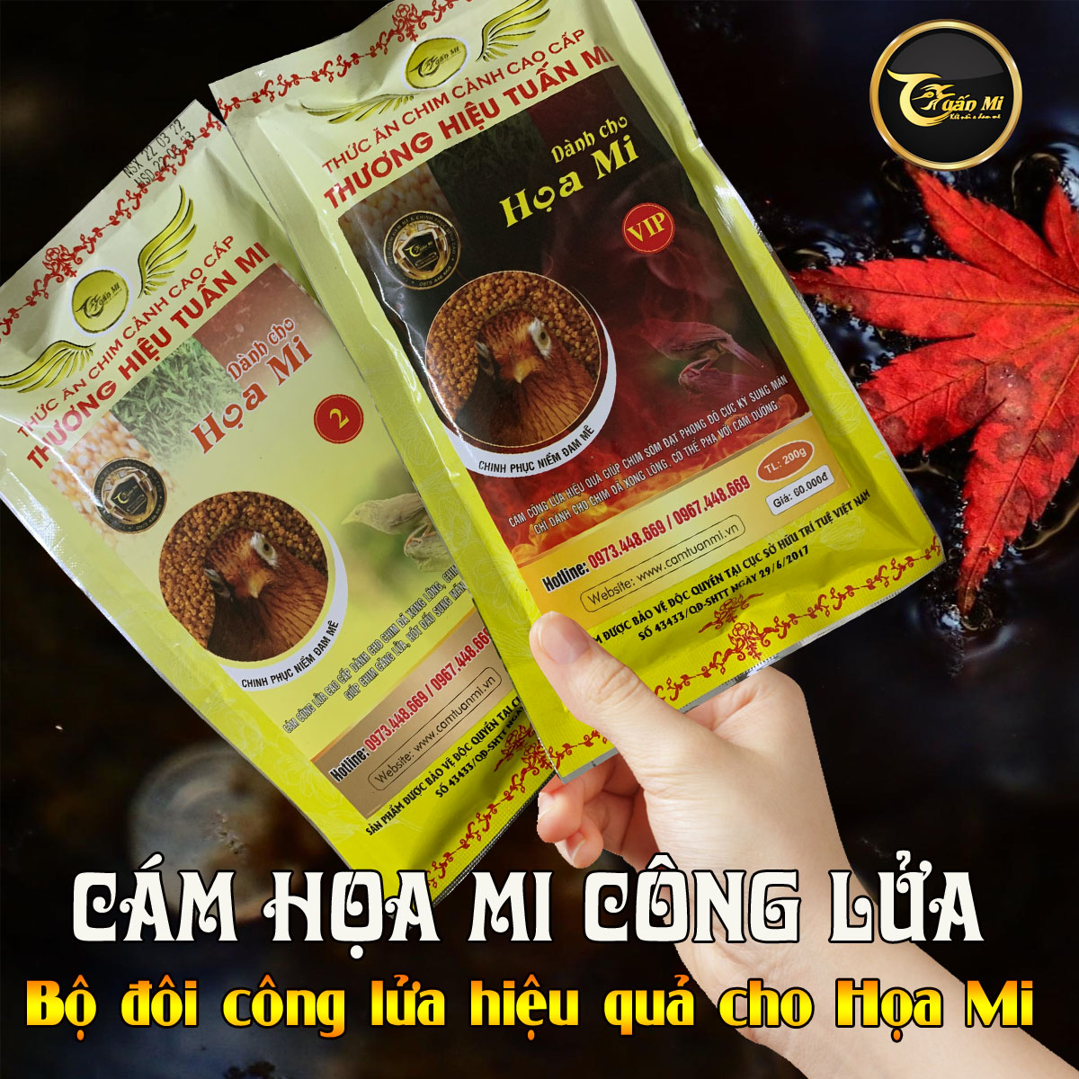 Cám Họa Mi Vip (thương hiệu Tuấn Mi)