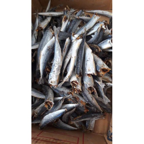 cá lục 500g