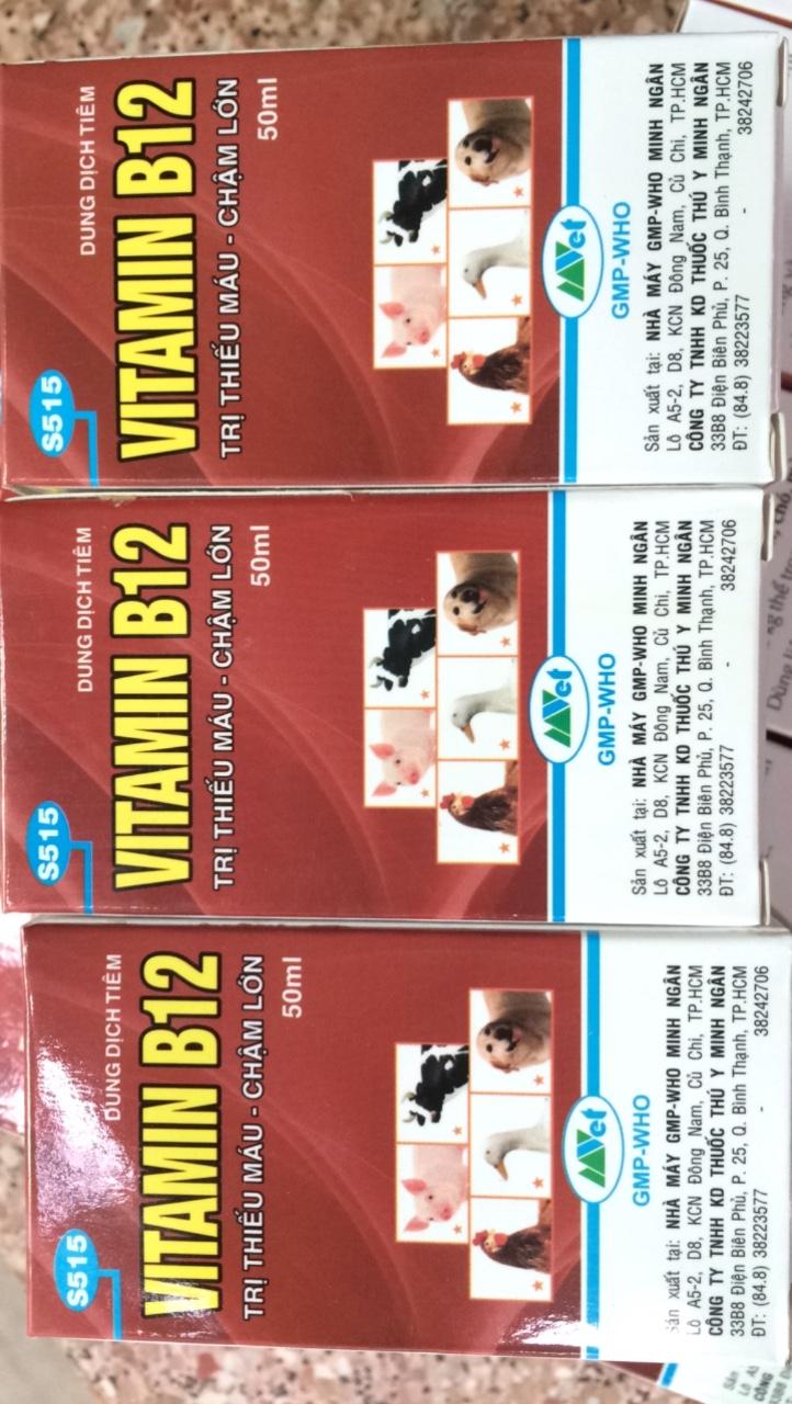 ( hỗ trợ vc ) Vitamin B12 giải độc cho hoa lan - Vtamin B12 (100ml)