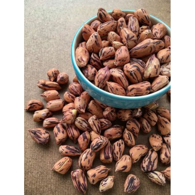 Hạt Giống Lạc Đầy Màu Sắc Luner - 10Gram