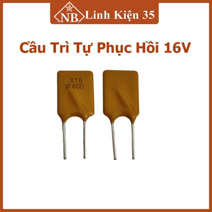 Cầu chì tự phục hồi 16v rgef600 dòng điện 6a