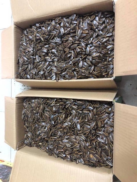 Hạt Hướng Dương Trai Đẹp 200G