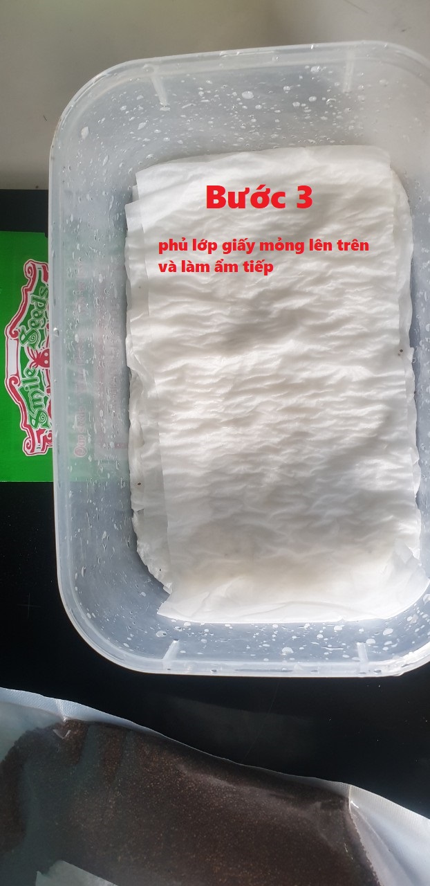 Hạt giống Dưa Lưới Melo 10 Hạt