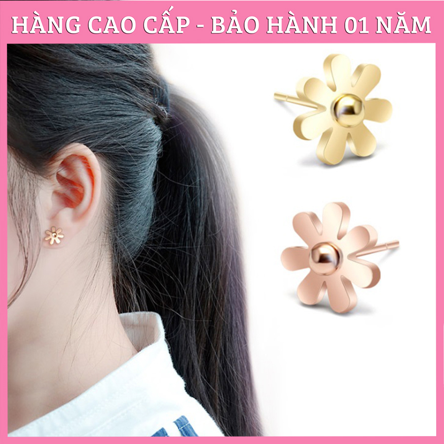 Bông Tai Nữ, Hoa Tai Titan Cúc Họa Mi