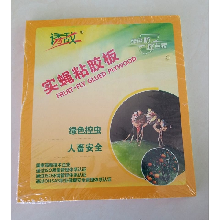 [FreeShip] Combo 5 Miếng Dán Bẫy Ruồi Vàng Kích Thước 21cmx19cm
