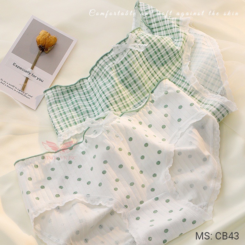 Combo 5 quần lót cotton nữ Vingo CB43 VNGO