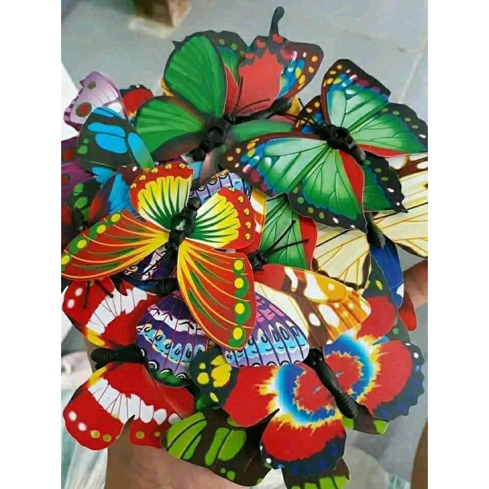 Con Bướm (6 con) trang trí bánh sinh nhật, bánh rau câu