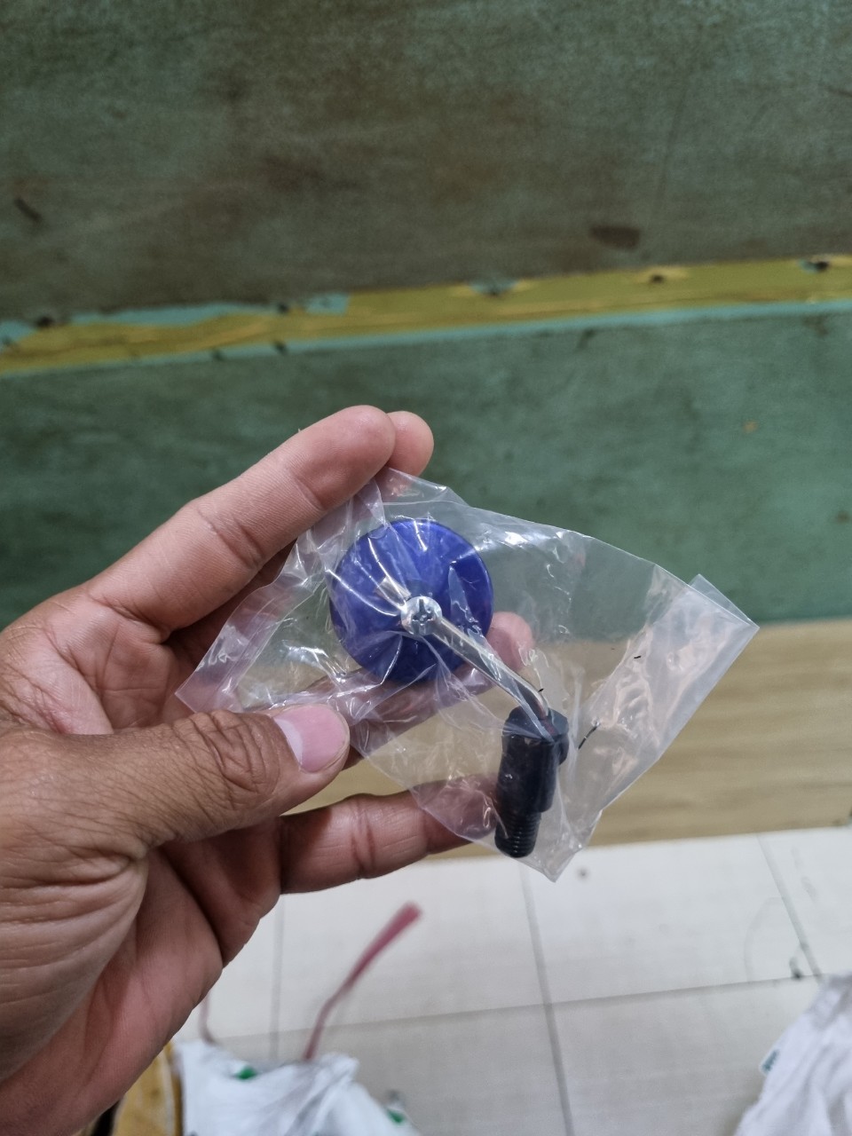 KIẾNG TRÒN NHỎ MINI