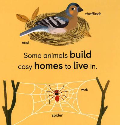 Baby 101: Zoology For Babies