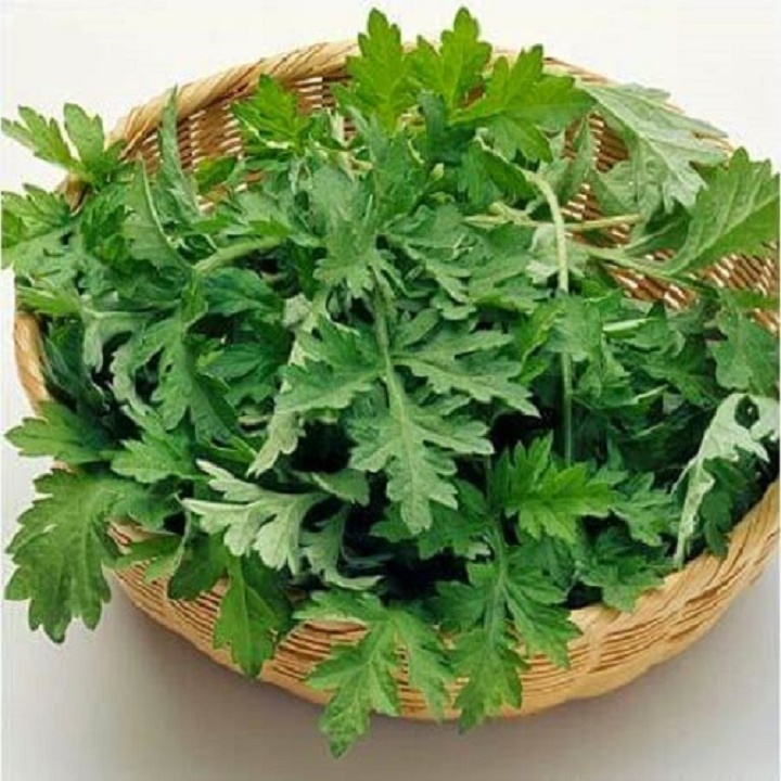 CÂY NGẢI CỨU, CÂY GỬI ĐI NGUYÊN CHẬU