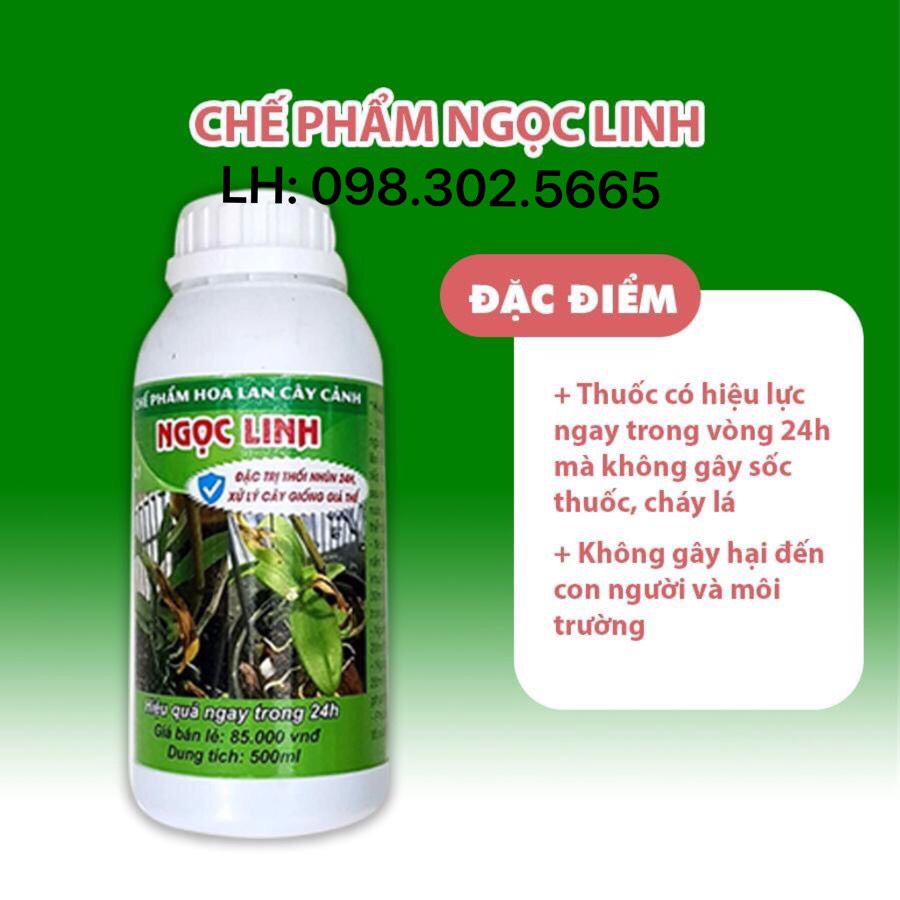 Chế phẩm Ngọc Linh trị thối nhũn 24h cho phong lan chai 500ml 5.0
