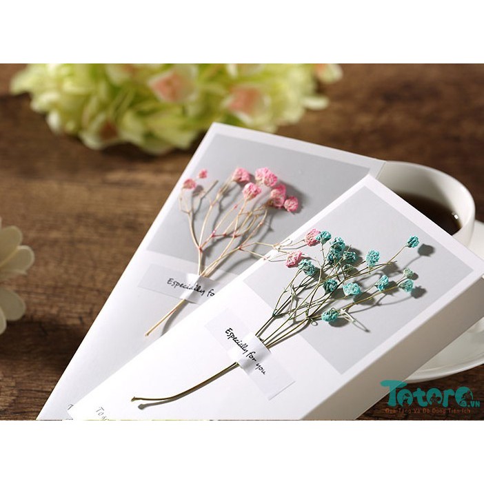 Thiệp basic Hoa Lá Khô - Thiệp vuông basic beautiful everyday
