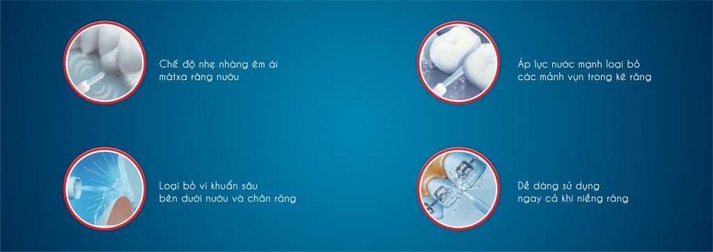 Tăm nước cầm tay Rapido RWF150