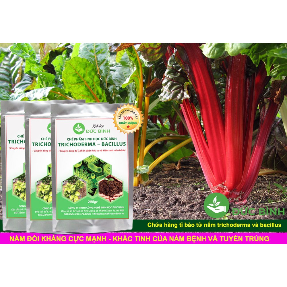 TRICHODERMA BACILLUS - CHẾ PHẨM SINH HỌC CHUYÊN Ủ PHÂN HỮU CƠ VÀ KIỂM SOÁT NẤM BỆNH
