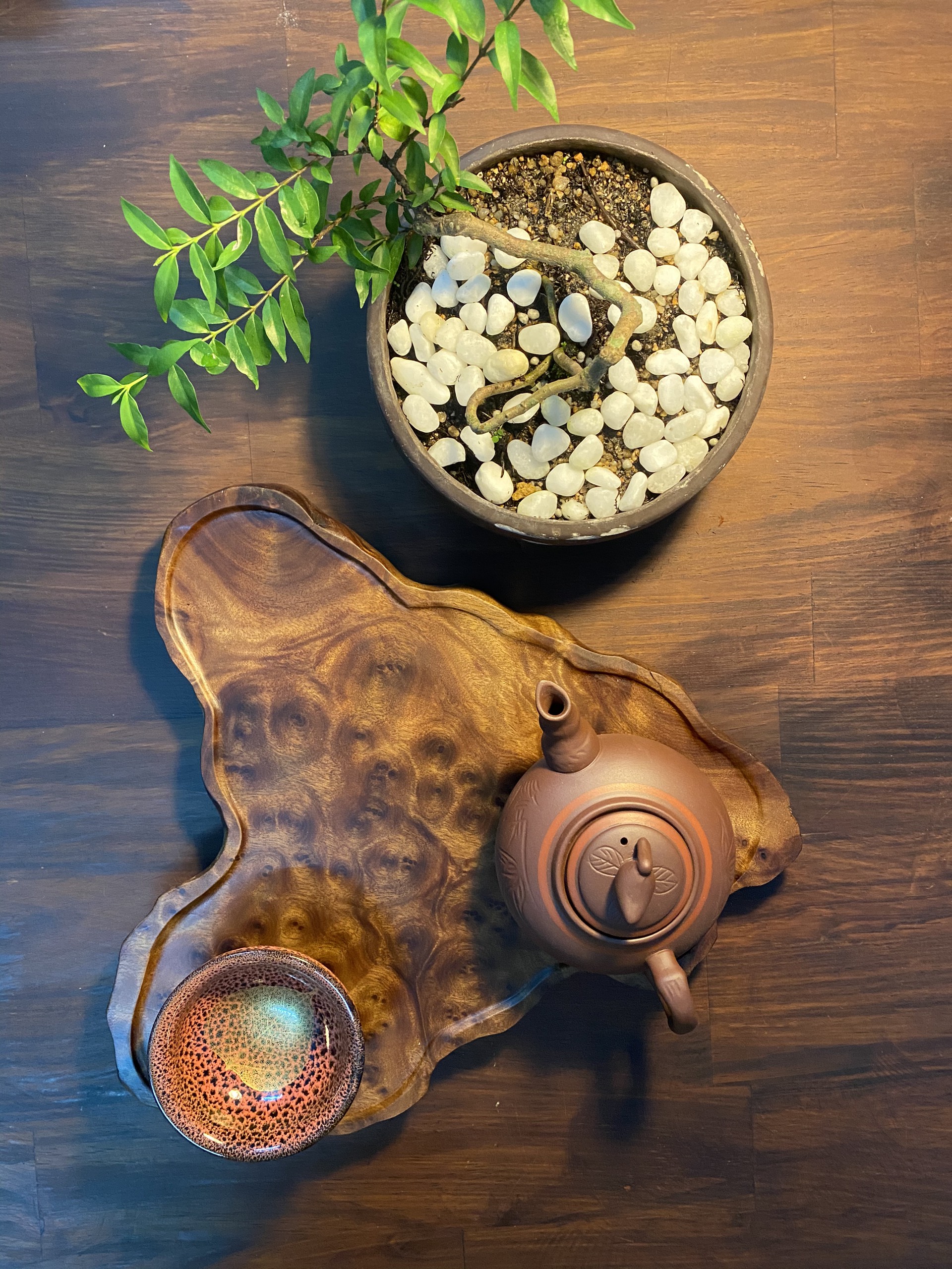 Khay Trà Gỗ Xá Xị