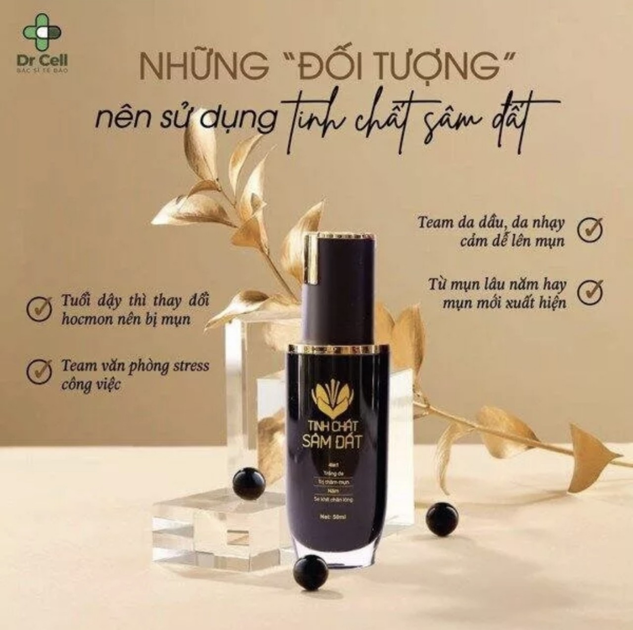 Tinh chất sâm đất tái tạo da triệt tiêu tất cả các loại mụn.