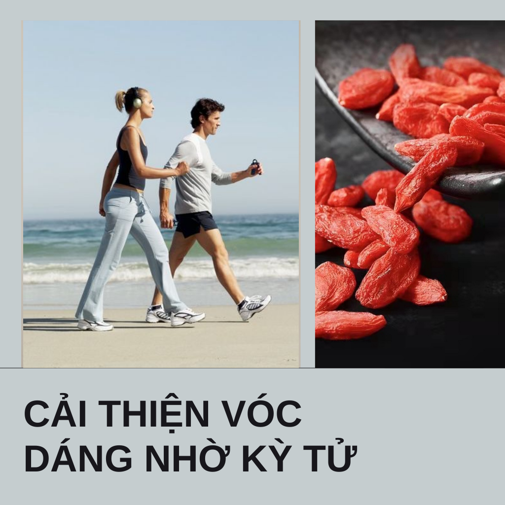 100gr dried red goji berry for stress