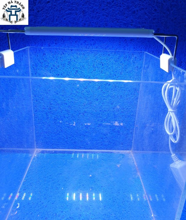 [Hoàn Tiền 10%] Đèn Led 3 Chế Độ Màu Lebaoyu Bể Cá, Bể Thủy Sinh 20cm