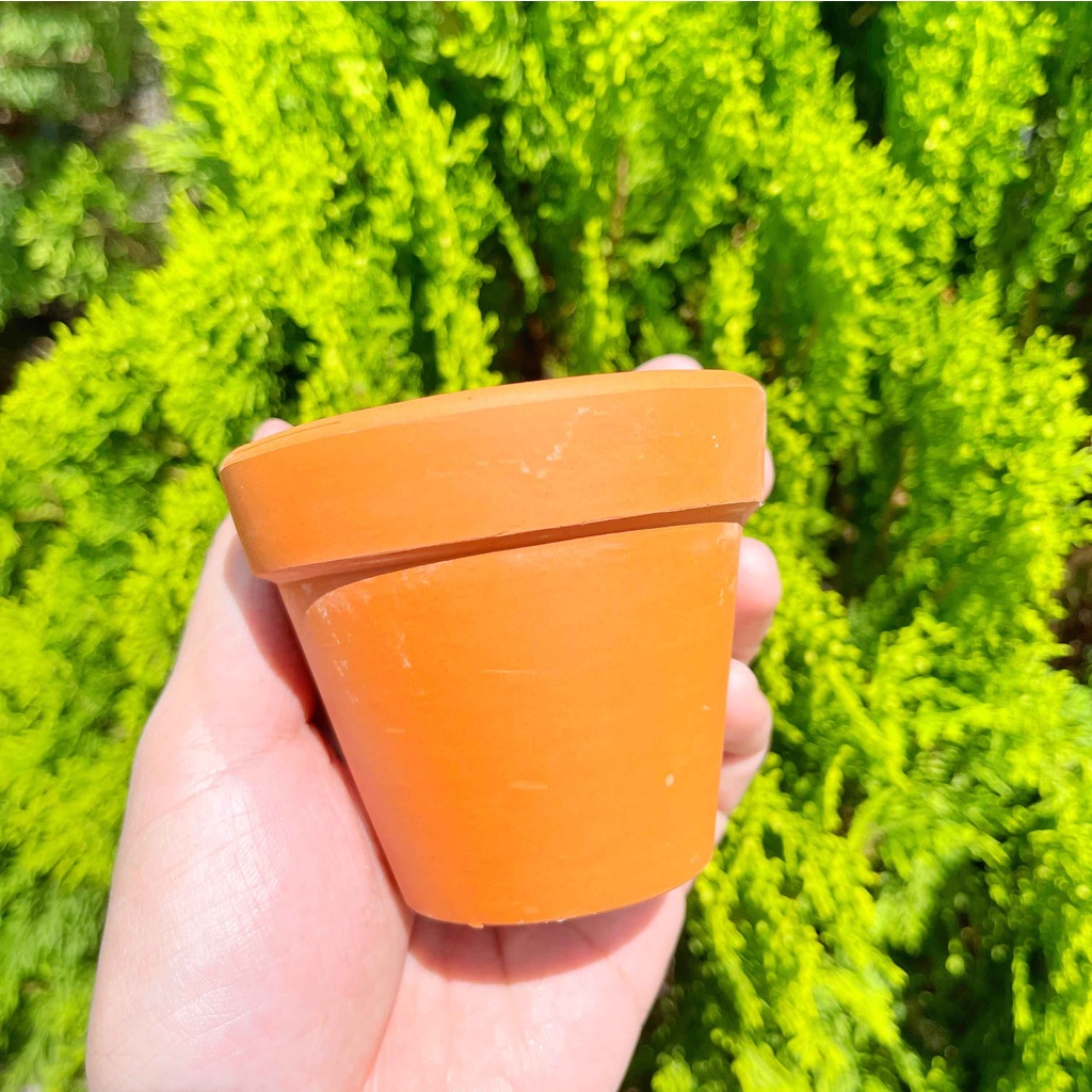 Chậu đất nung 7x7cm - Chậu trồng sen đá