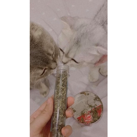 Cỏ Mèo Khô Catnip ❤️