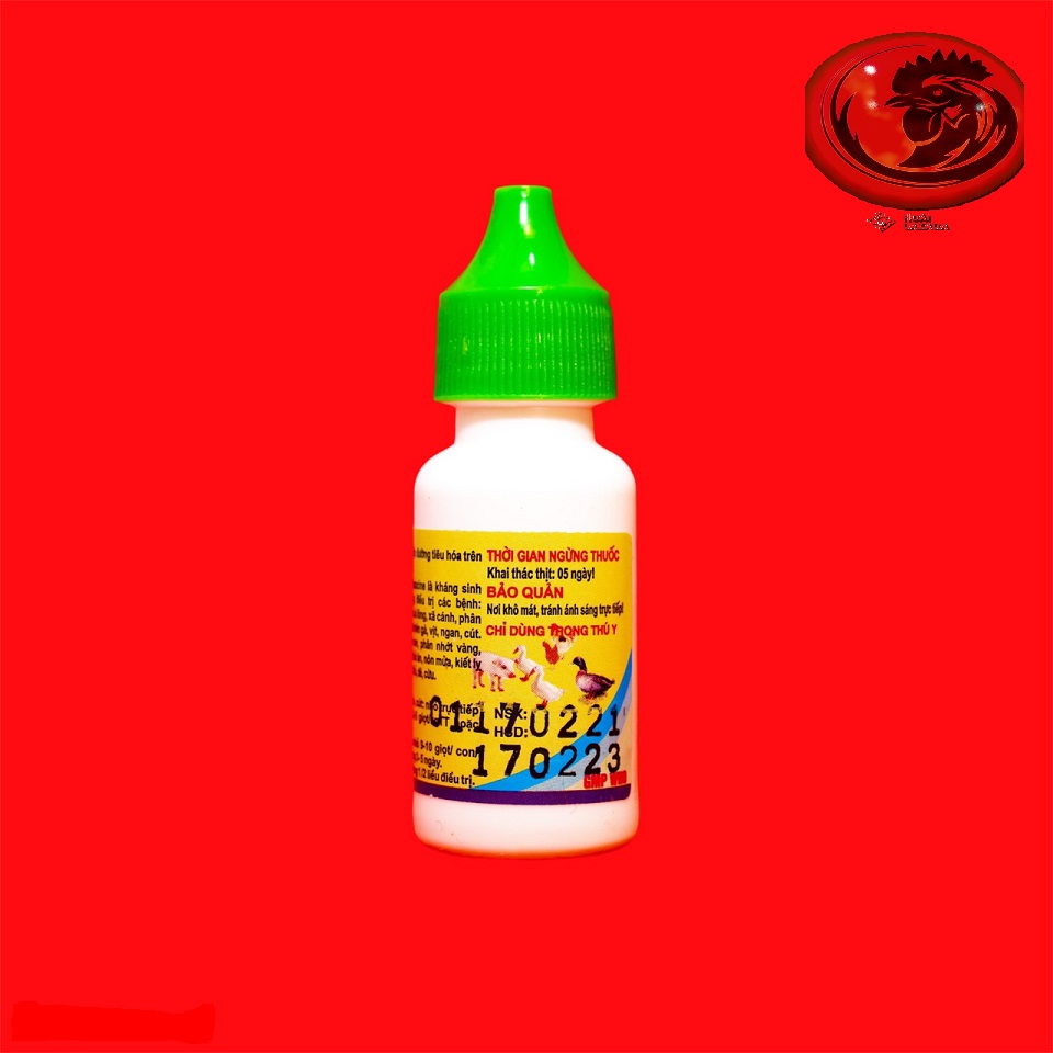 QUINOCOLI phân xanh, trắng cho gà đá 1 LỌ 10ML