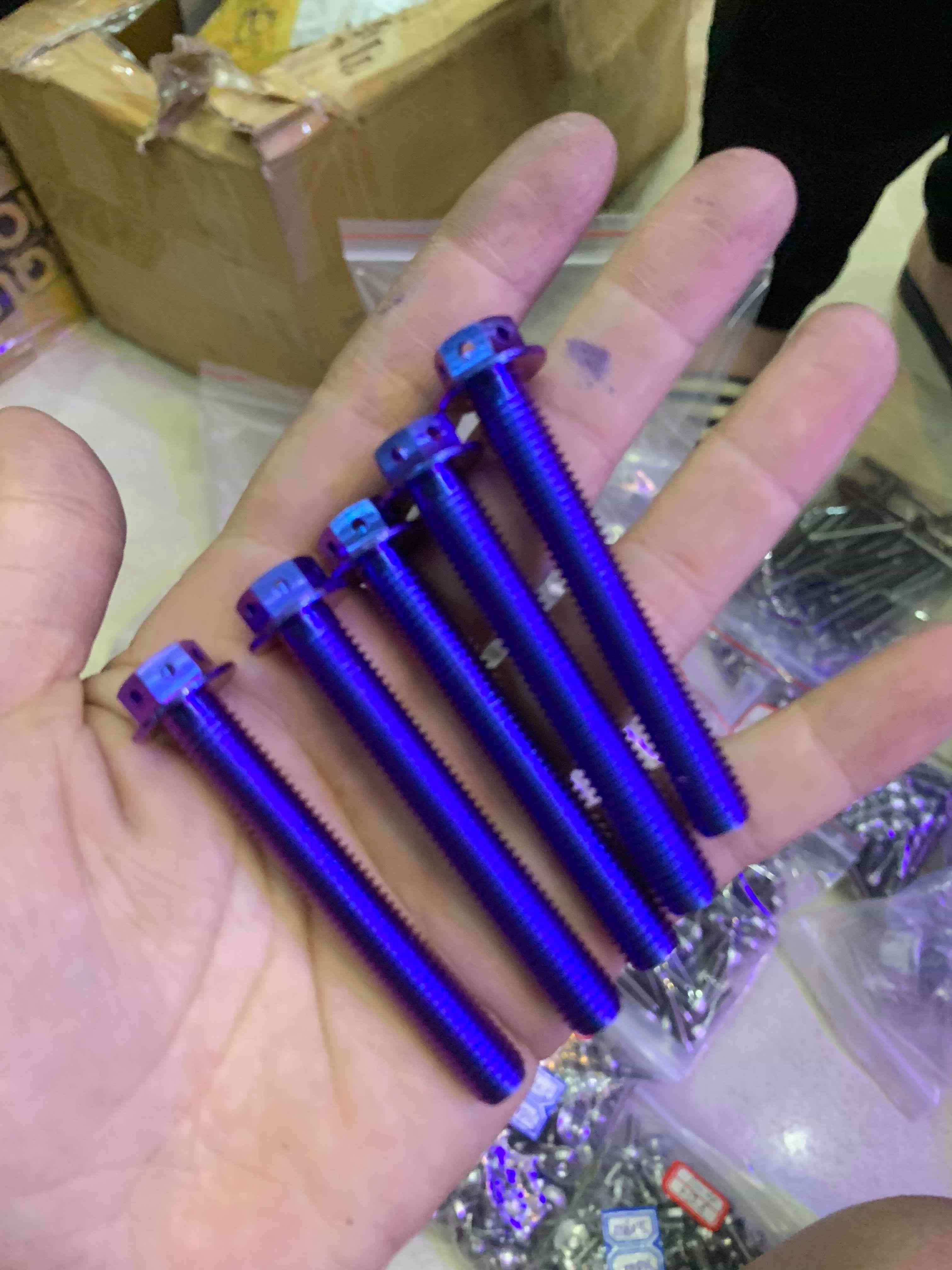 1 con Ốc Titan Gr5 8li60 đầu Probolt bắt cảng Click  Vario